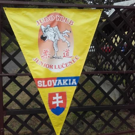 Turisticka Ubytovna Hotel Divín Eksteriør bilde